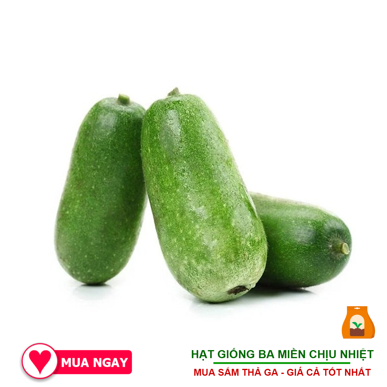 Hạt Giống Bí Đao Chanh F1 20 Hạt