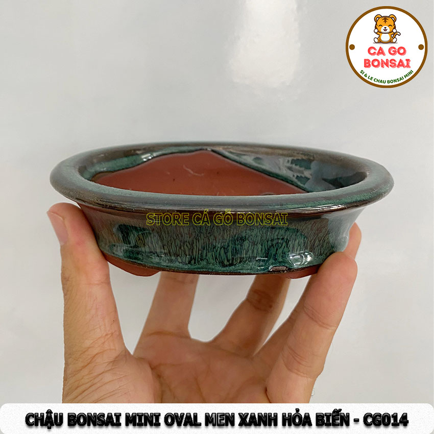 Chậu Bonsai Mini Oval Men Xanh Hỏa Biến - CG014
