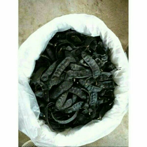 500g bồ kết khô