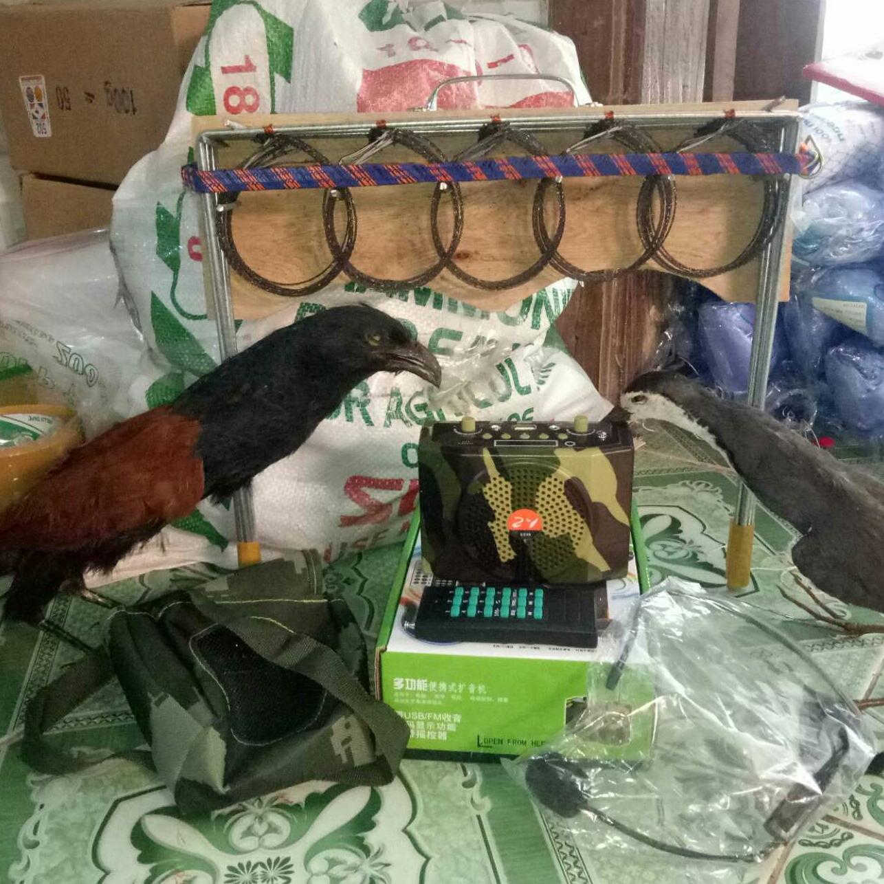 Thòng bẫy đa năng chồn, quốc, bìm bịp, đa đa 1 bộ 10 khung