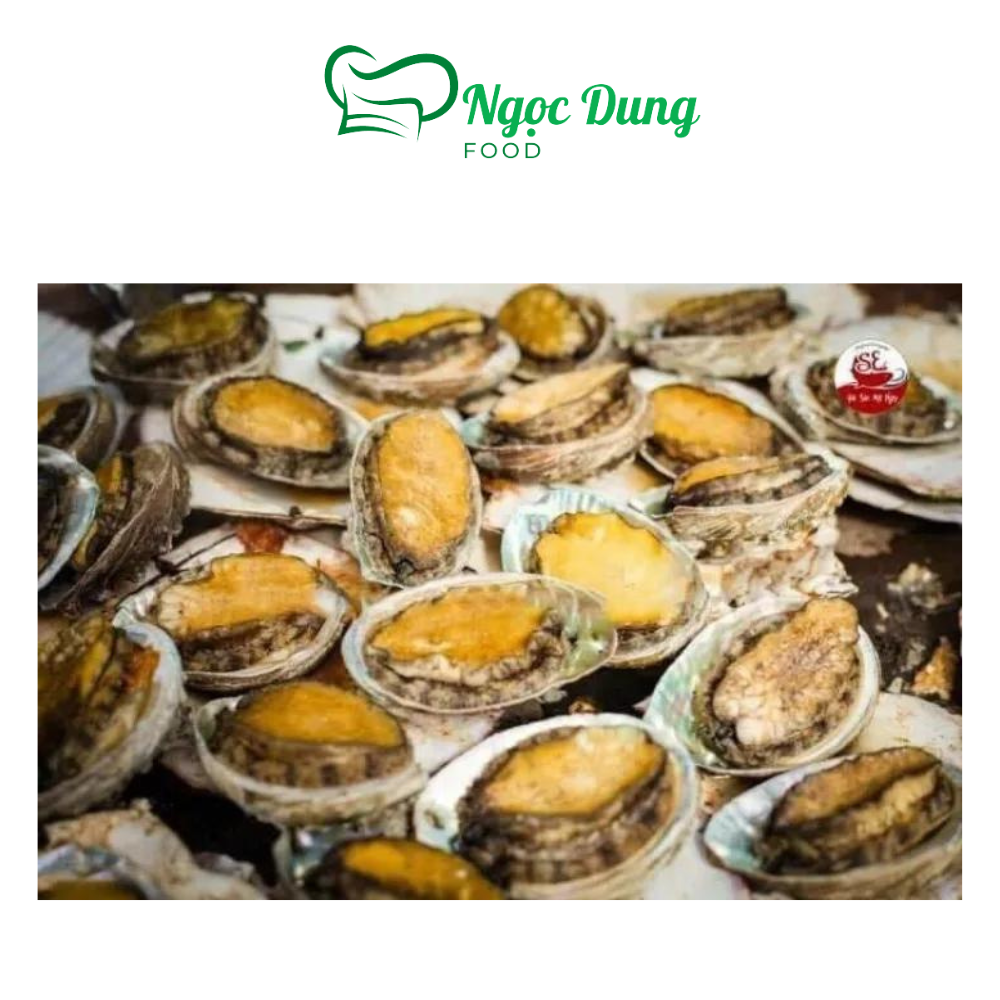 Bào ngư hàn quốc 500gr size 16-18 con kg (giao tphcm)