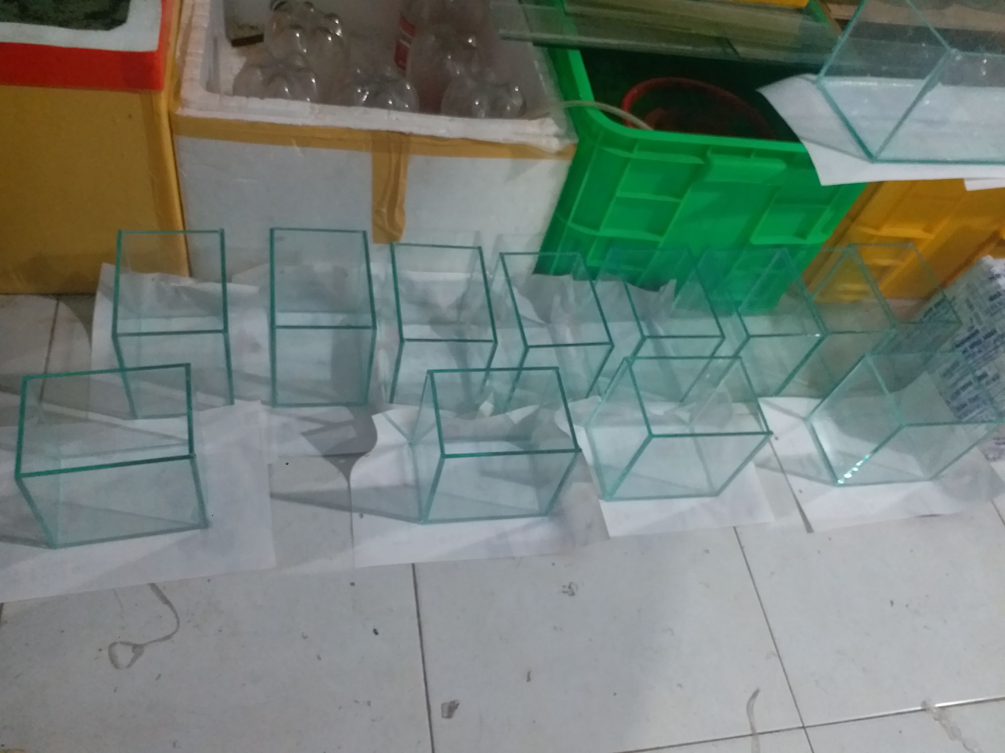 Hồ Cá Betta D20 C 12 R12