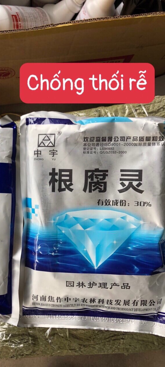 Thuốc chống thối rễ cho cây trồng
