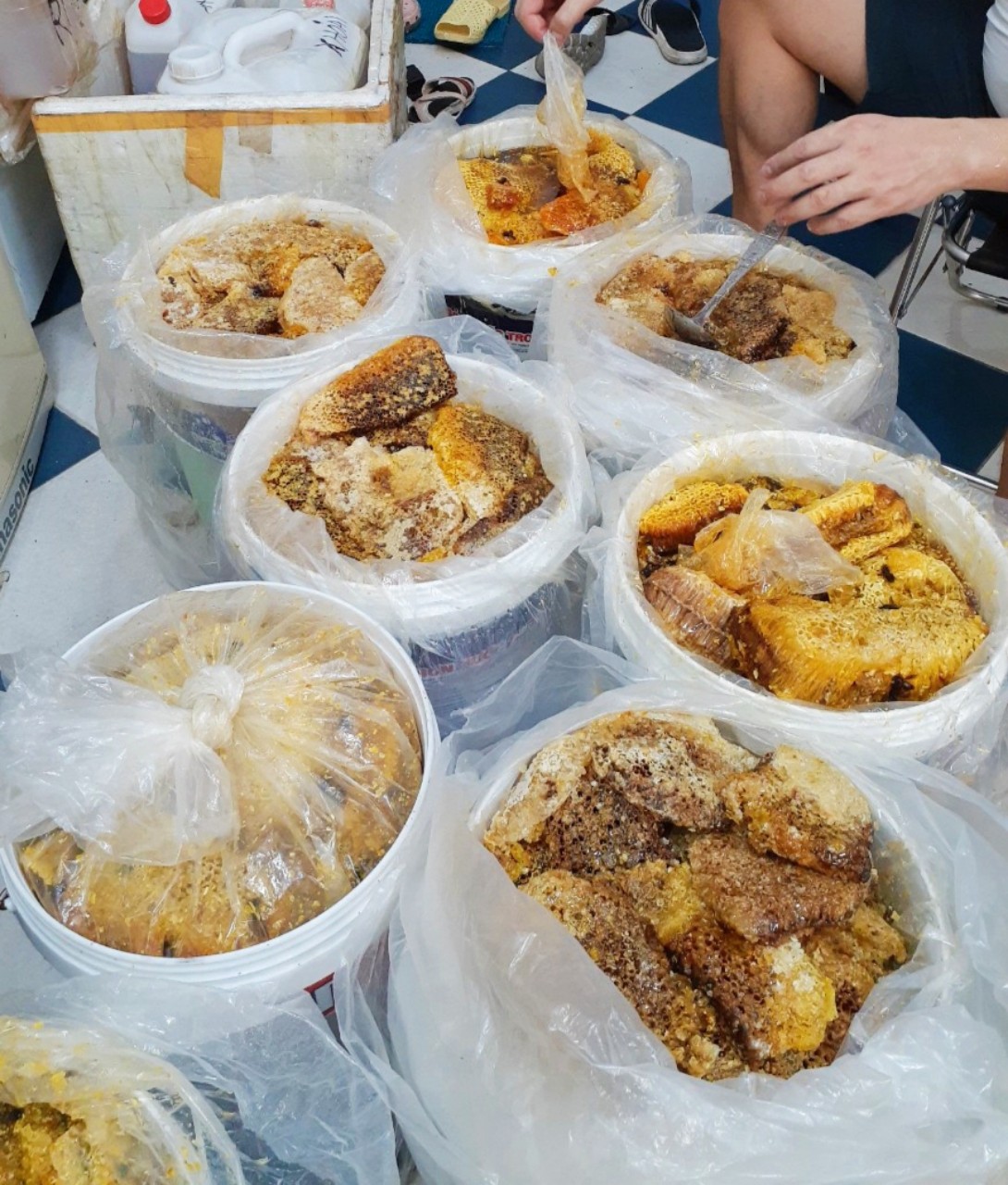 Mật Ong Rừng Tây Bắc