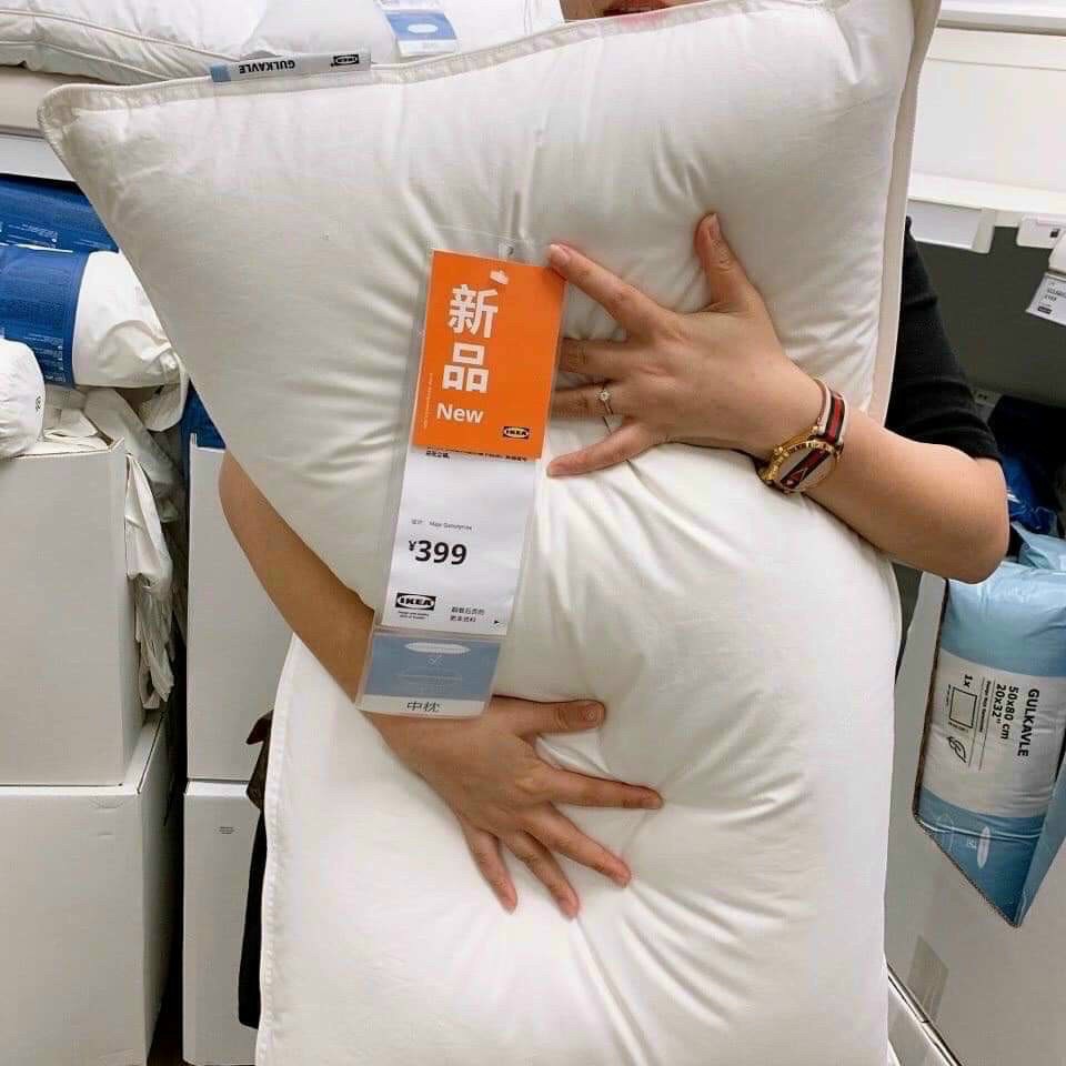 COMBO 2 RUỘT GỐI LÔNG VŨ IKEA