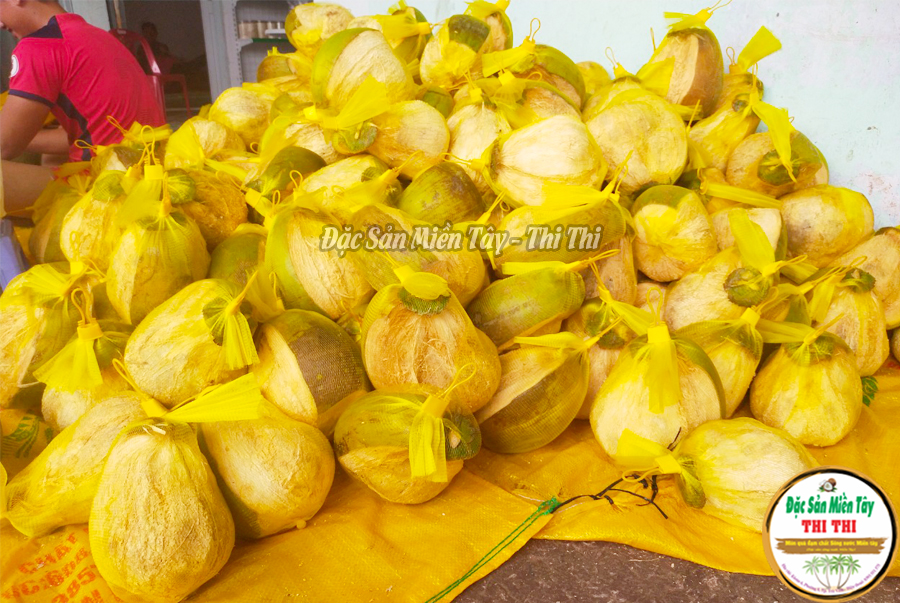Dừa Sáp Thượng Hạng Loại 1 Size Vừa (Trái 800gr-1Kg)