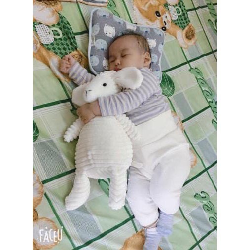 Teddy Bear rabbit cotton for baby item arrival