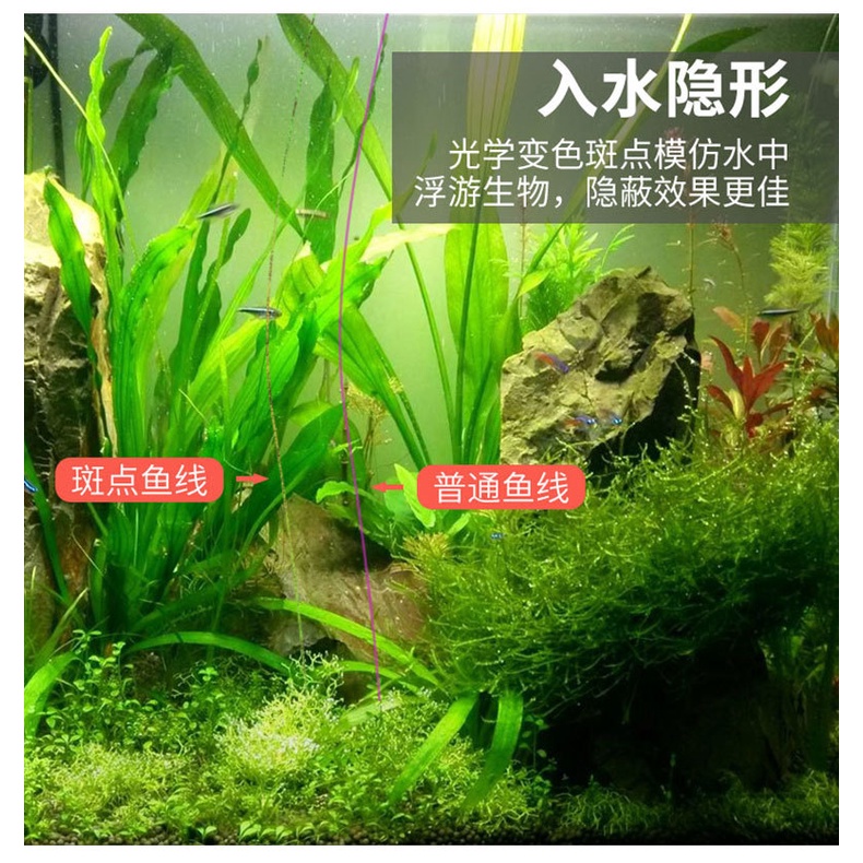 cước câu cá cước nhật DFISH 500m 3D siêu tải