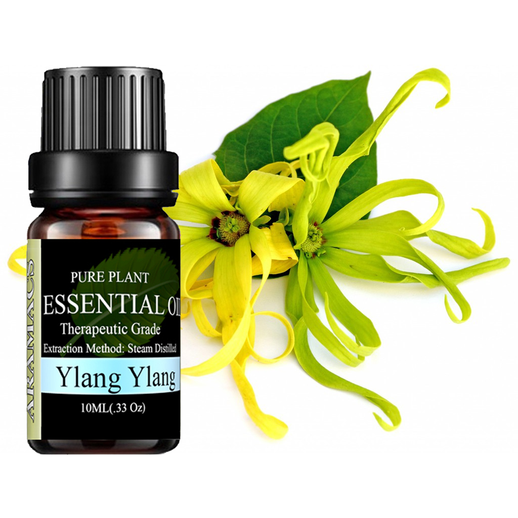 Essential oil jade orchid West help your spirit aerials and catharsis, tantalize emotional love.