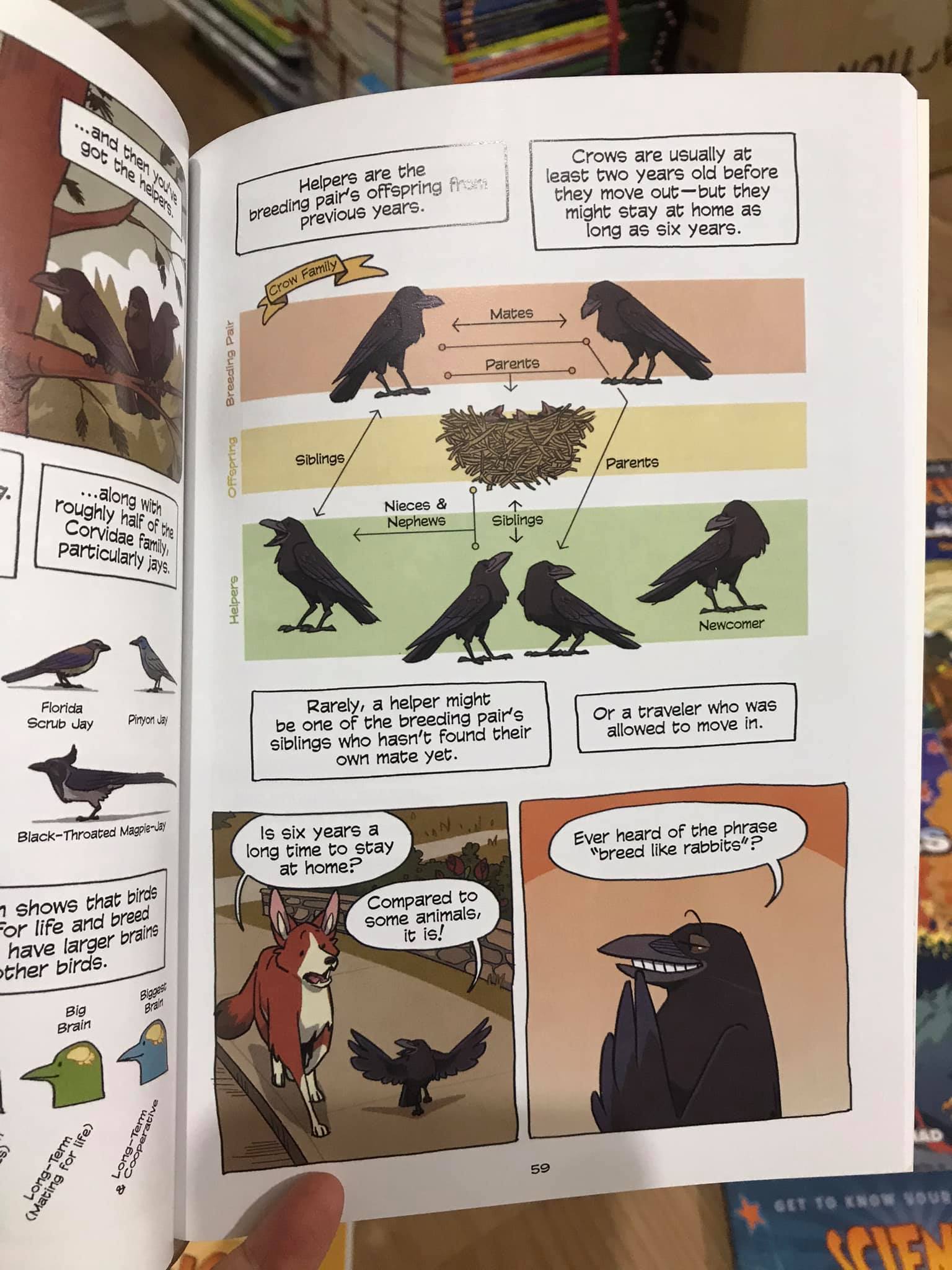 Bản nhập - Science Comics - Bộ full mới nhất 29c