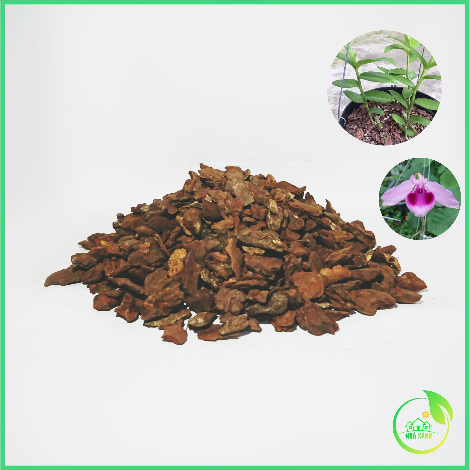 Vụn hạt ngô vỏ thông. (1kg nhé)