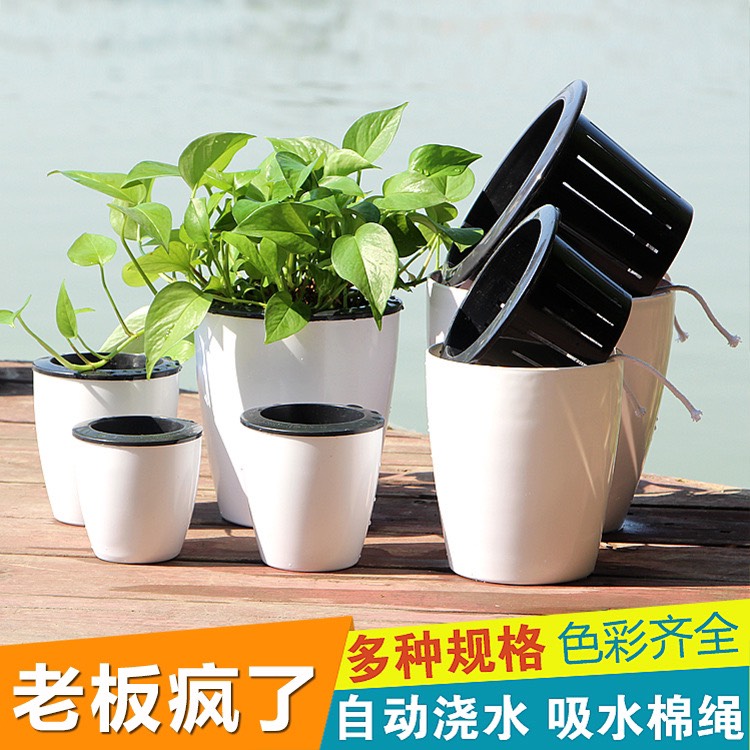 Chậu Nhựa trồng cây Thuỷ Sinh Để Bàn thông minh tự hút nước , Trồng Hoa, Trồng Rau
