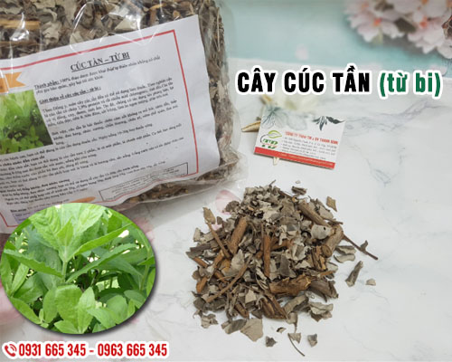 Cây cúc tần khô - thảo dược thanh bình