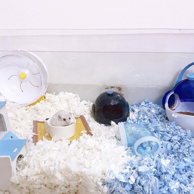GIẤY LÓT CHUỒNG VỆ SINH HAMSTER