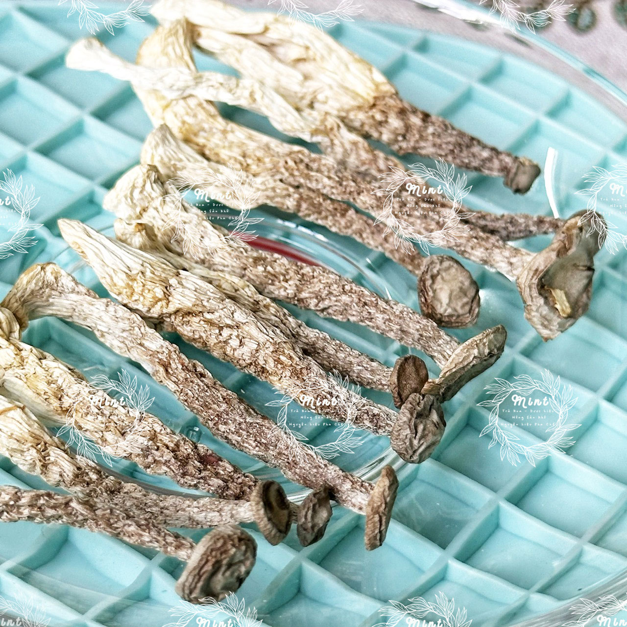 Nấm Lộc Nhung Khô (Nấm Nhung Hươu - Nấm Nhung Gạc) Túi 100Gr