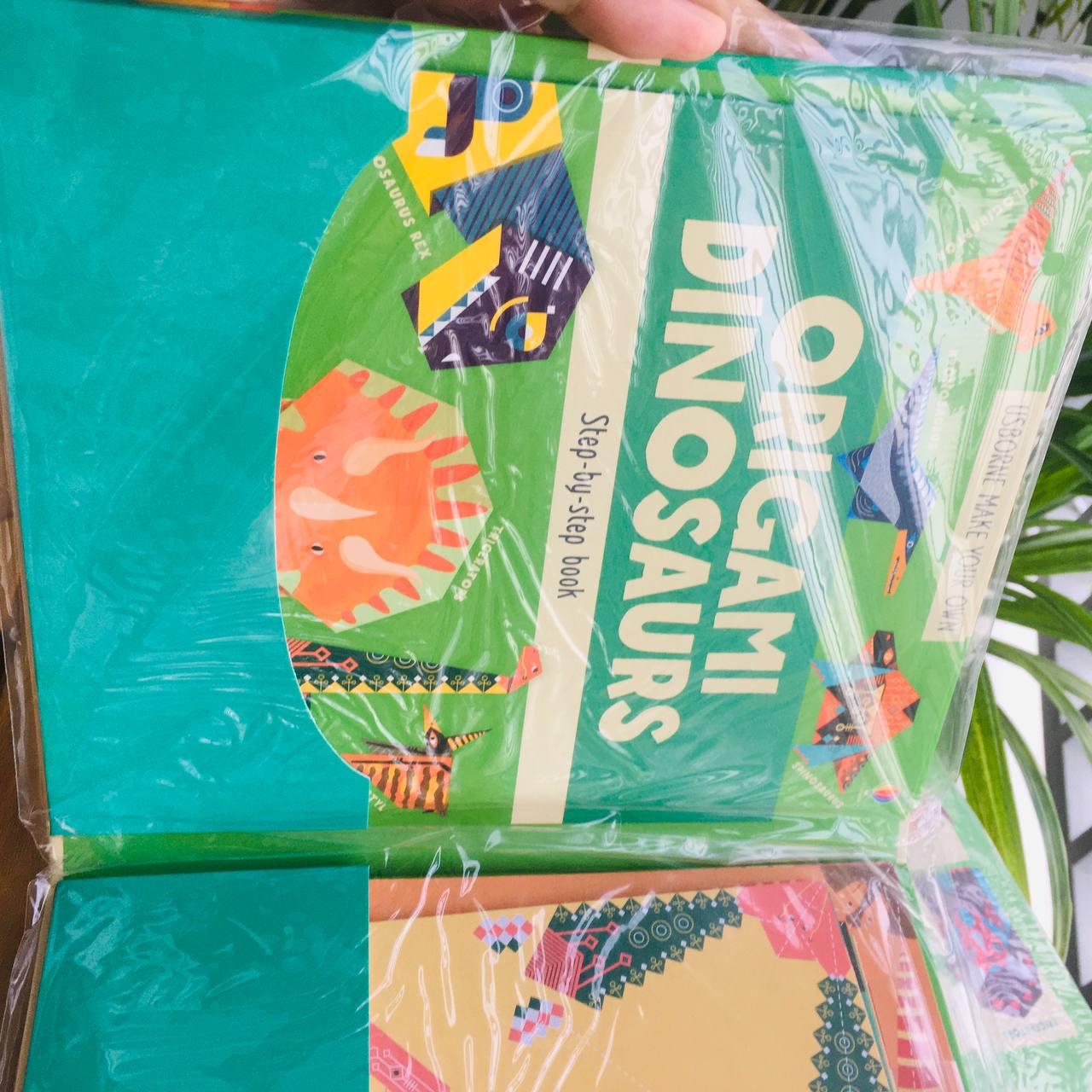Sách - Usborne books | Origami Dinosaurs