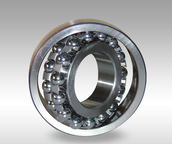 [HCM]BI SẮT 5.3mm 1KG