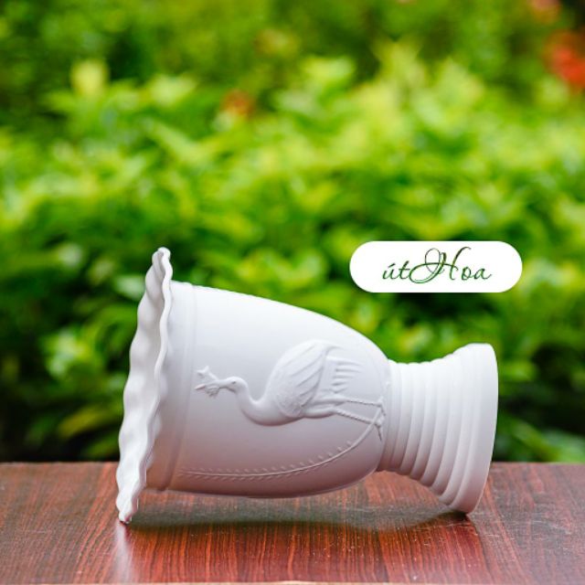 Chậu Ly Cò Có Đế Cao