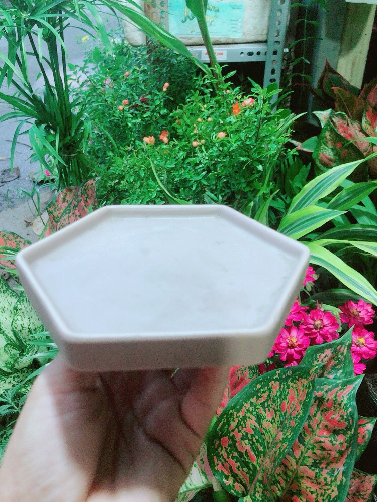 Đĩa Lót Chậu (đường kính 12cm)