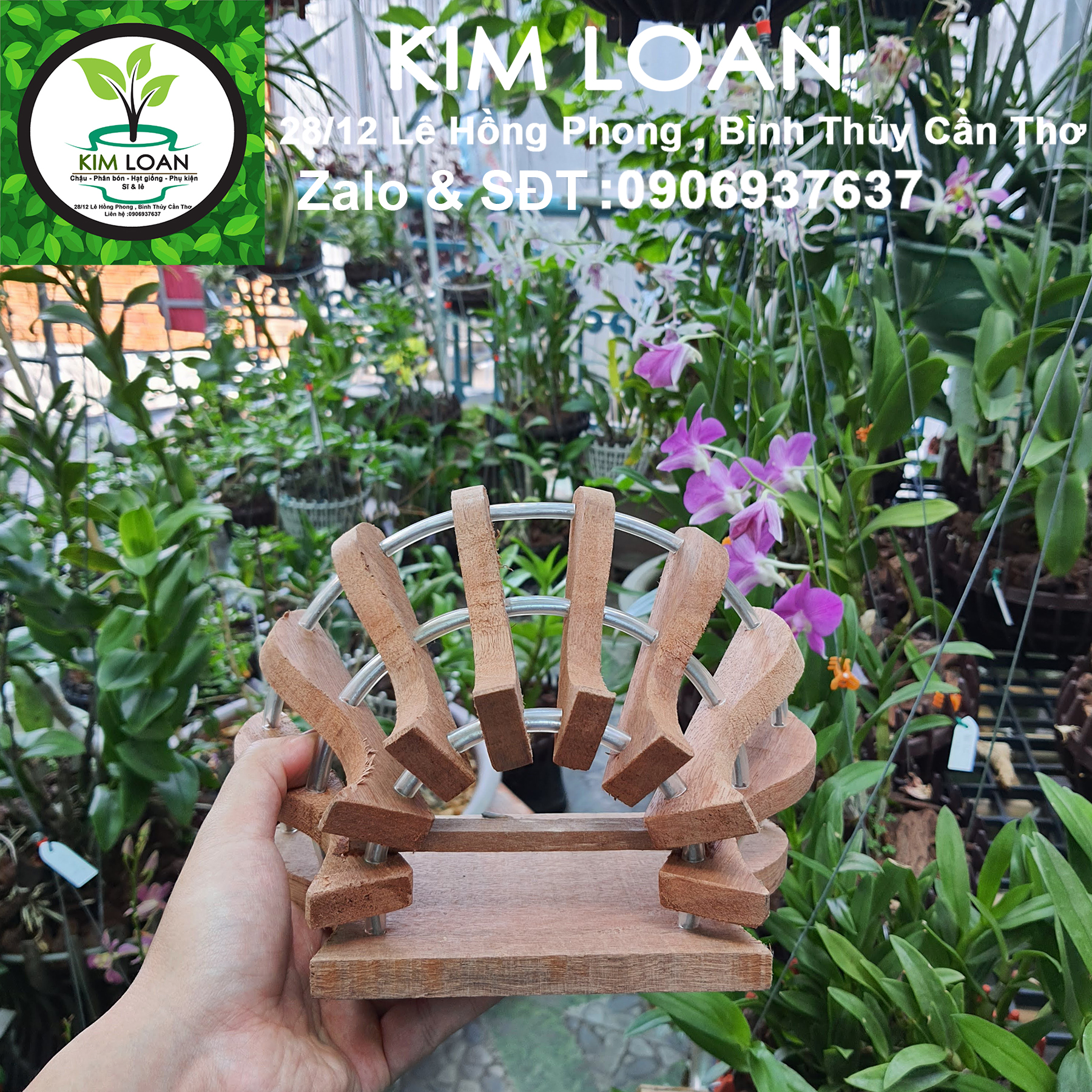 Chậu lan gỗ ốp tường