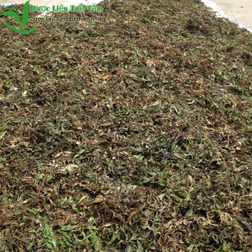 Lá đinh lăng khô 1kg