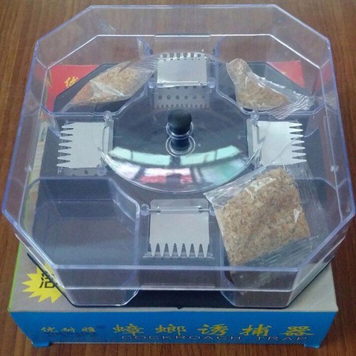 máy bắt gián triệt để
