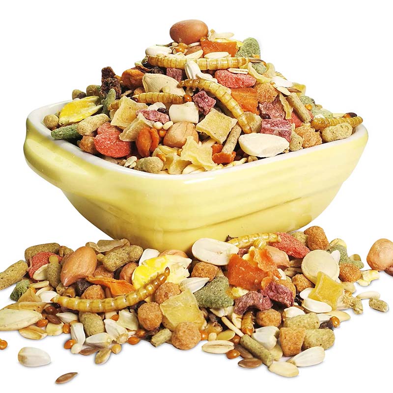 [HCM]Thức Ăn Đẹp Lông Cho Hamster 450gr