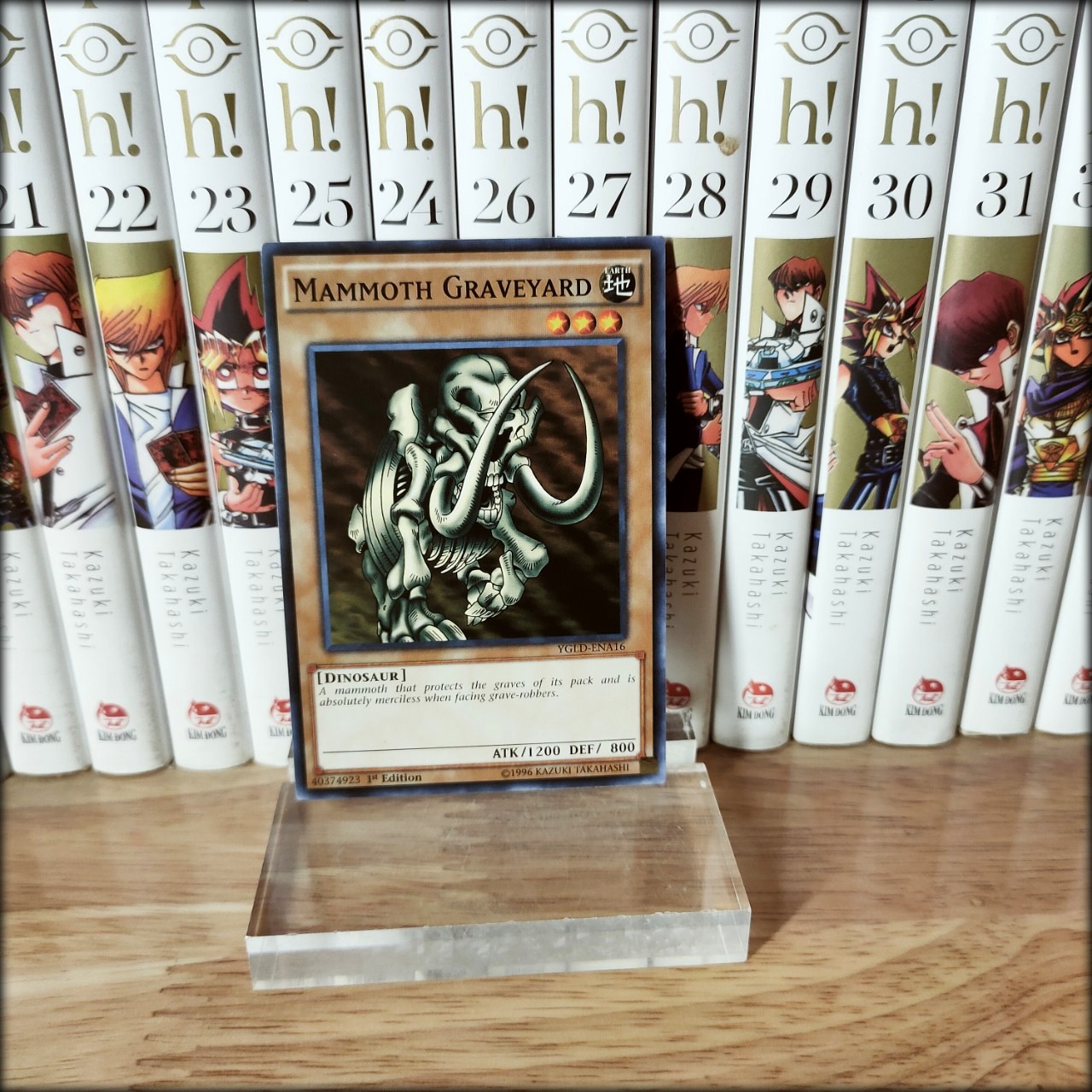Thẻ bài yugioh chính hãng Mammoth Graveyard – Common