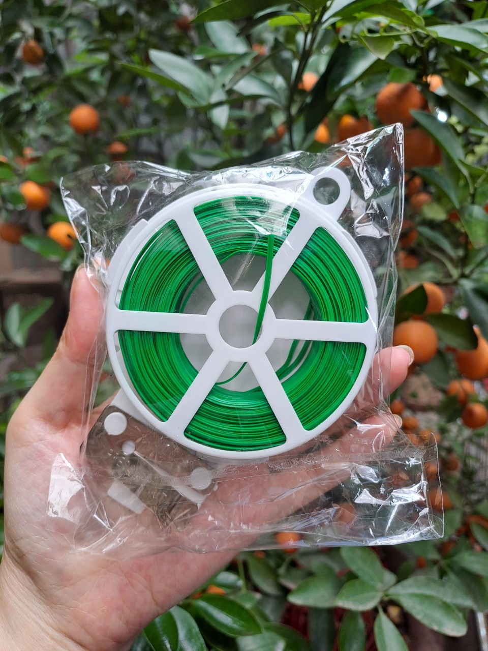 Pre-cut 100m orchid and bonsai coil