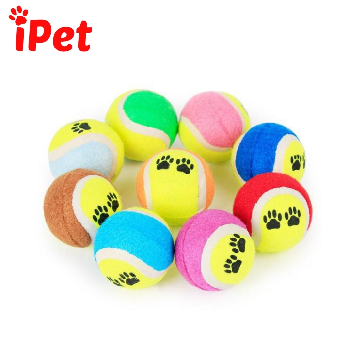 Bóng Tennis Chân Chó