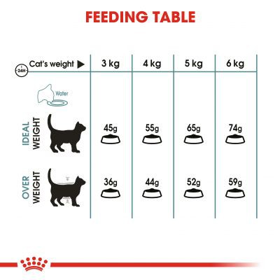 Thức ăn hạt mèo Royal Canin Hairball