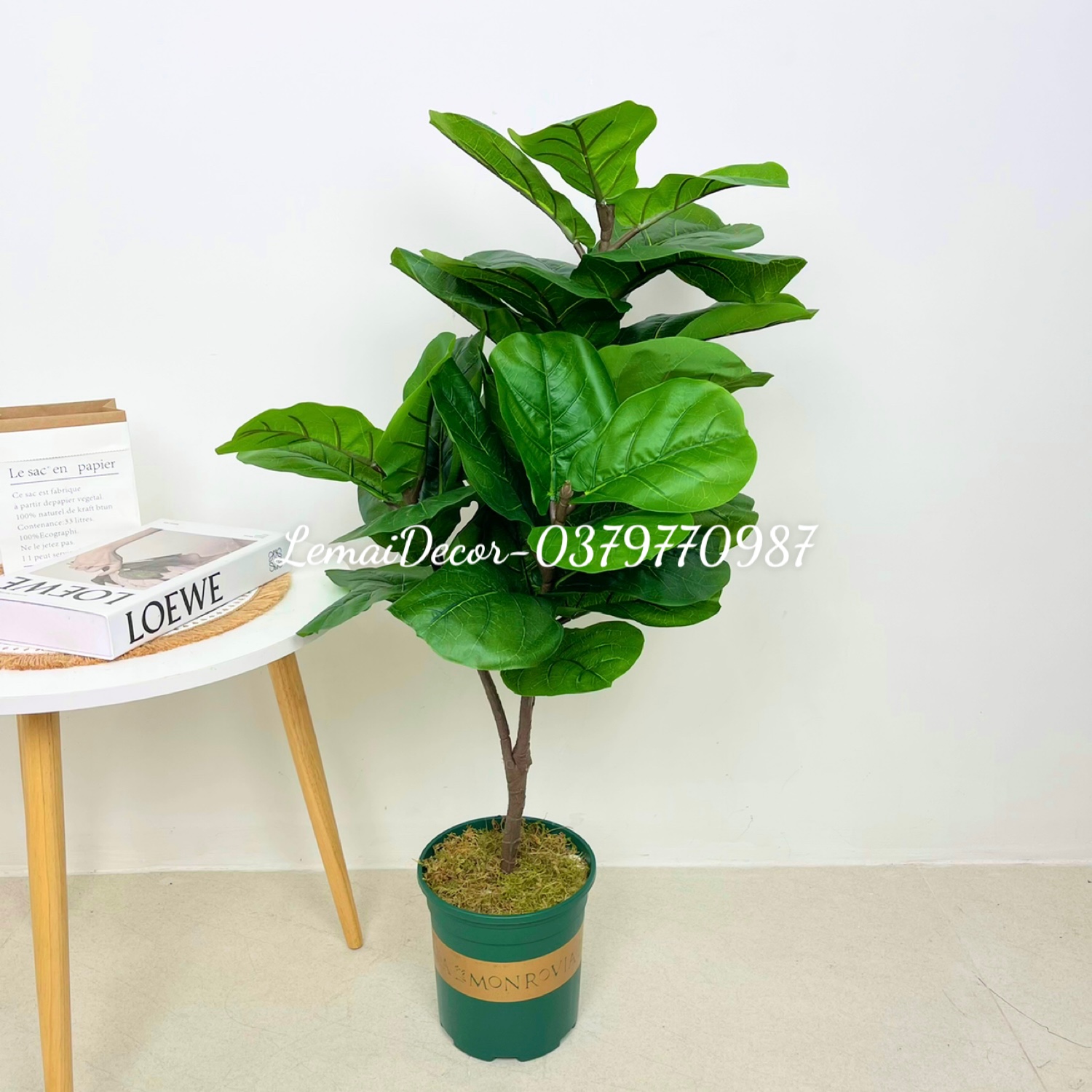 Cây giả - Cây bàng Singapore giả 1m (3nhánh)