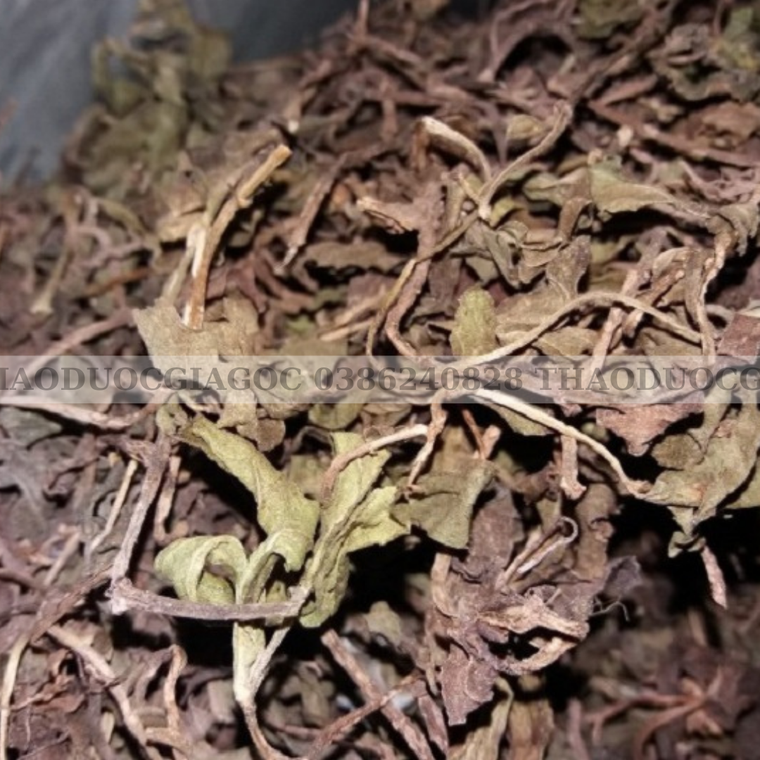 500g Cây Sài Đất Khô tắm cho bé rất tốt