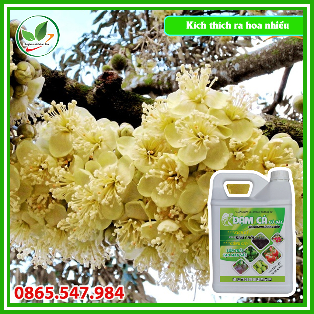 Phân đạm cá đậm đắc hữu cơ sinh học Bio. Can 5l