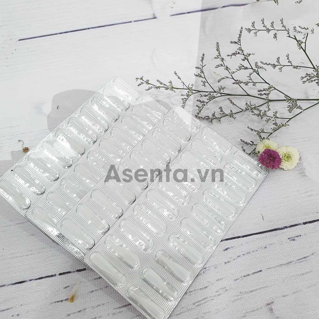Ngòi kim 1 thần thánh dạng vỉ 20 ngòi