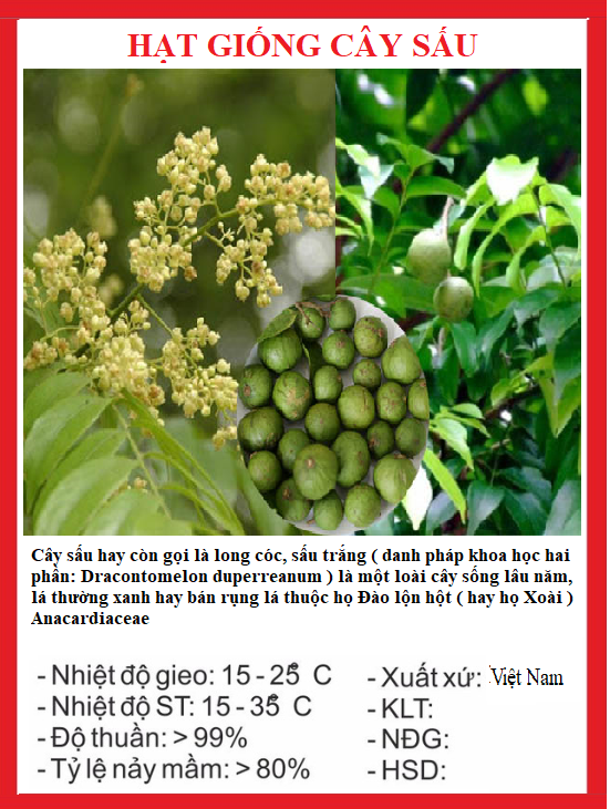 Hạt giống cây sấu - gói 5 hạt