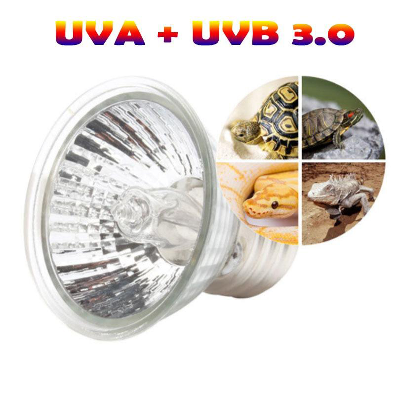 Đèn Sưởi UVA + UVB 3.0 25W 50W 75W Cho Bò Sát, Rùa, Chim, Vẹt