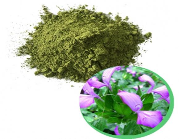 Bột Lá Cẩm Tím Chợ Quê gói 50gr