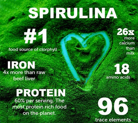 Spirulina/ Chlorella  Algae Powder 200g - Bio Planet Superfoods