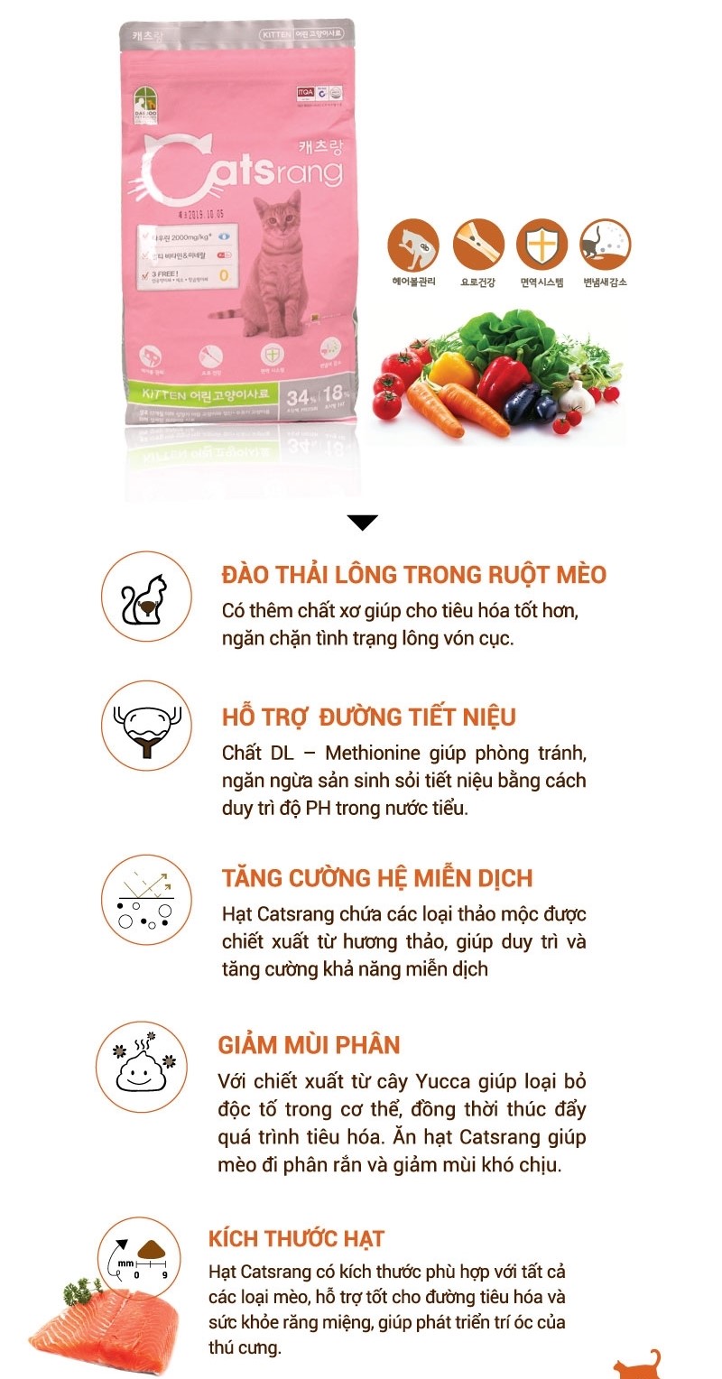 [400g/1.5kg] Hạt Cho Mèo Con (Kitten) Catsrang