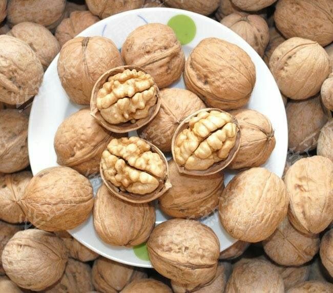 1,5kg quả óc chó