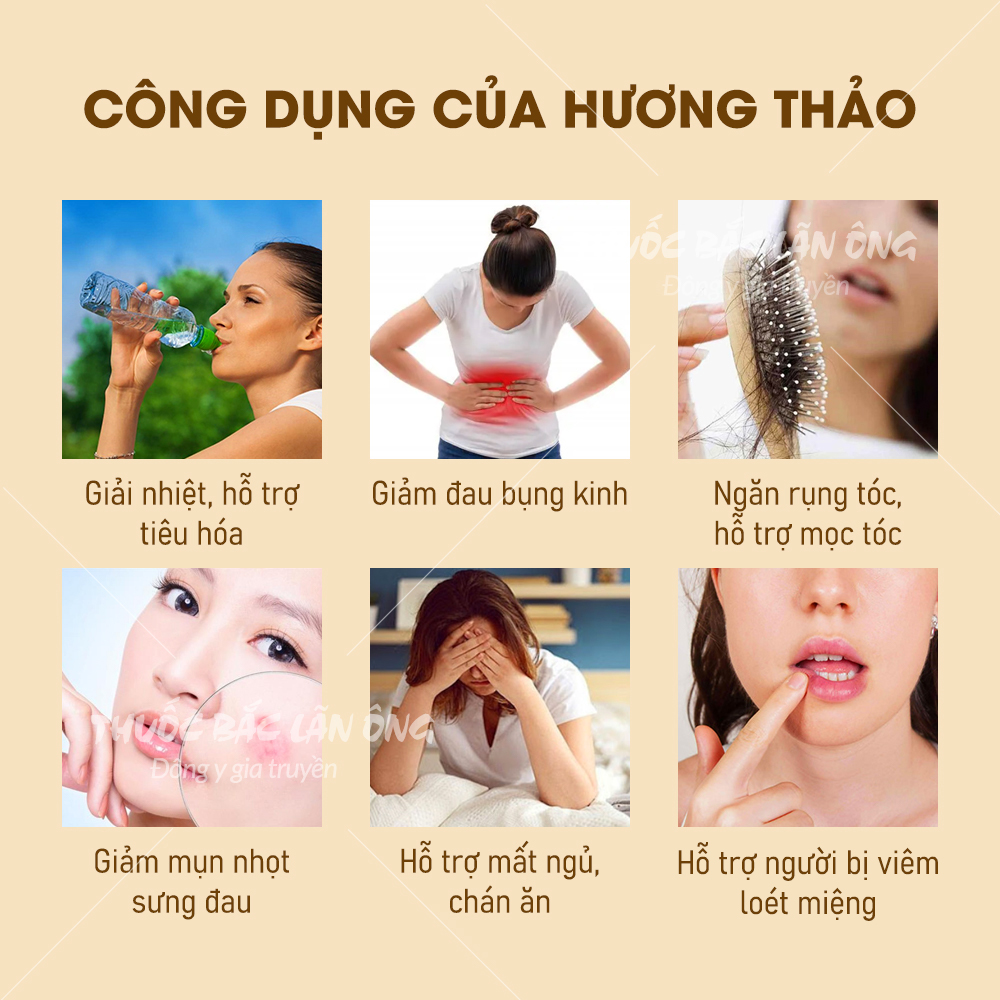 Lá hương thảo sấy lạnh 500g (Gia vị thảo mộc tẩm ướp thịt nướng)