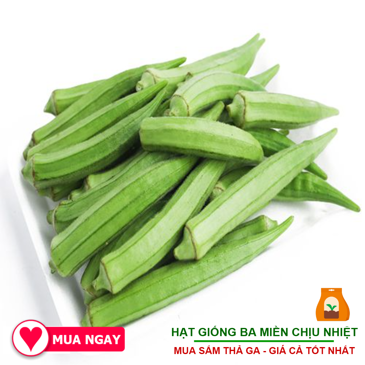 Giống Đậu Bắp Xanh Rạng Đông 20Gram