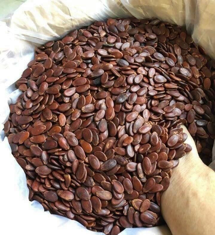 hạt dưa Tân Ký ( 500gr)