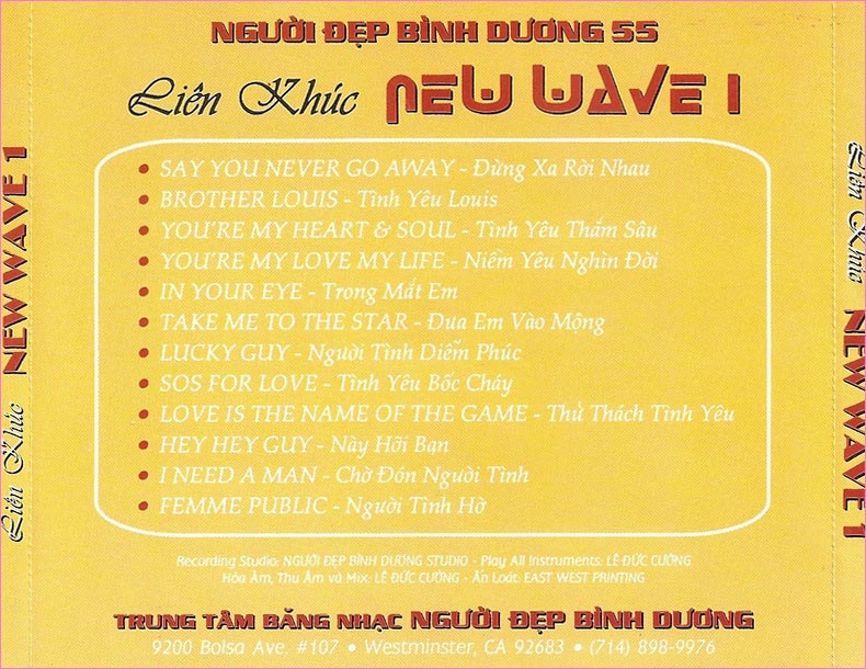 Bộ 08CD đại hội ca nhạc New Wave