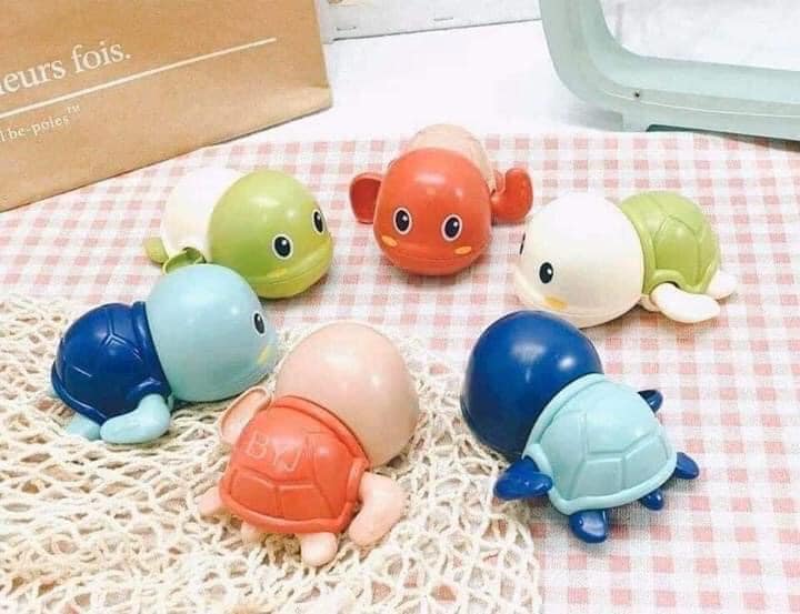 combo 3Rùa cót bơi dưới nước