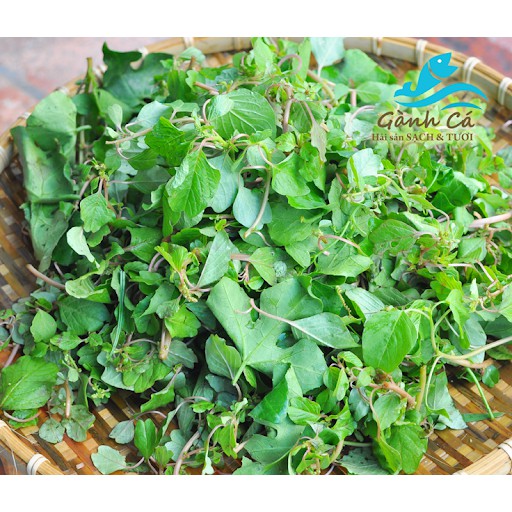 5Gr - hạt giống rau dền cơm
