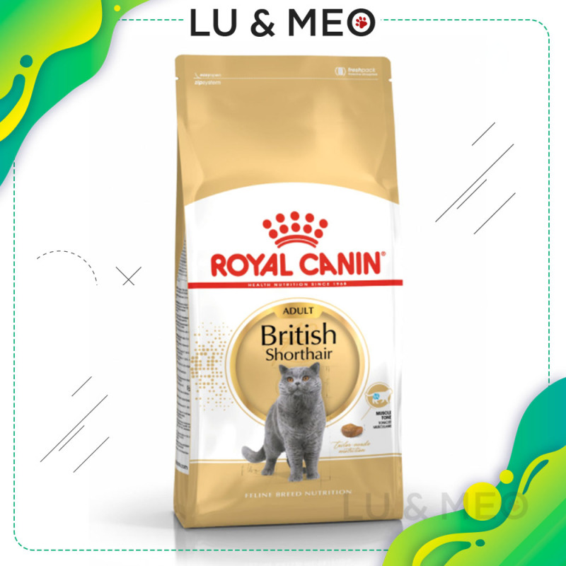 Thức ăn hạt cho mèo Anh lông ngắn trưởng thành Royal Canin British Shorthair Adult, 2kg, phù hợp và giàu dinh dưỡng cho giống mèo