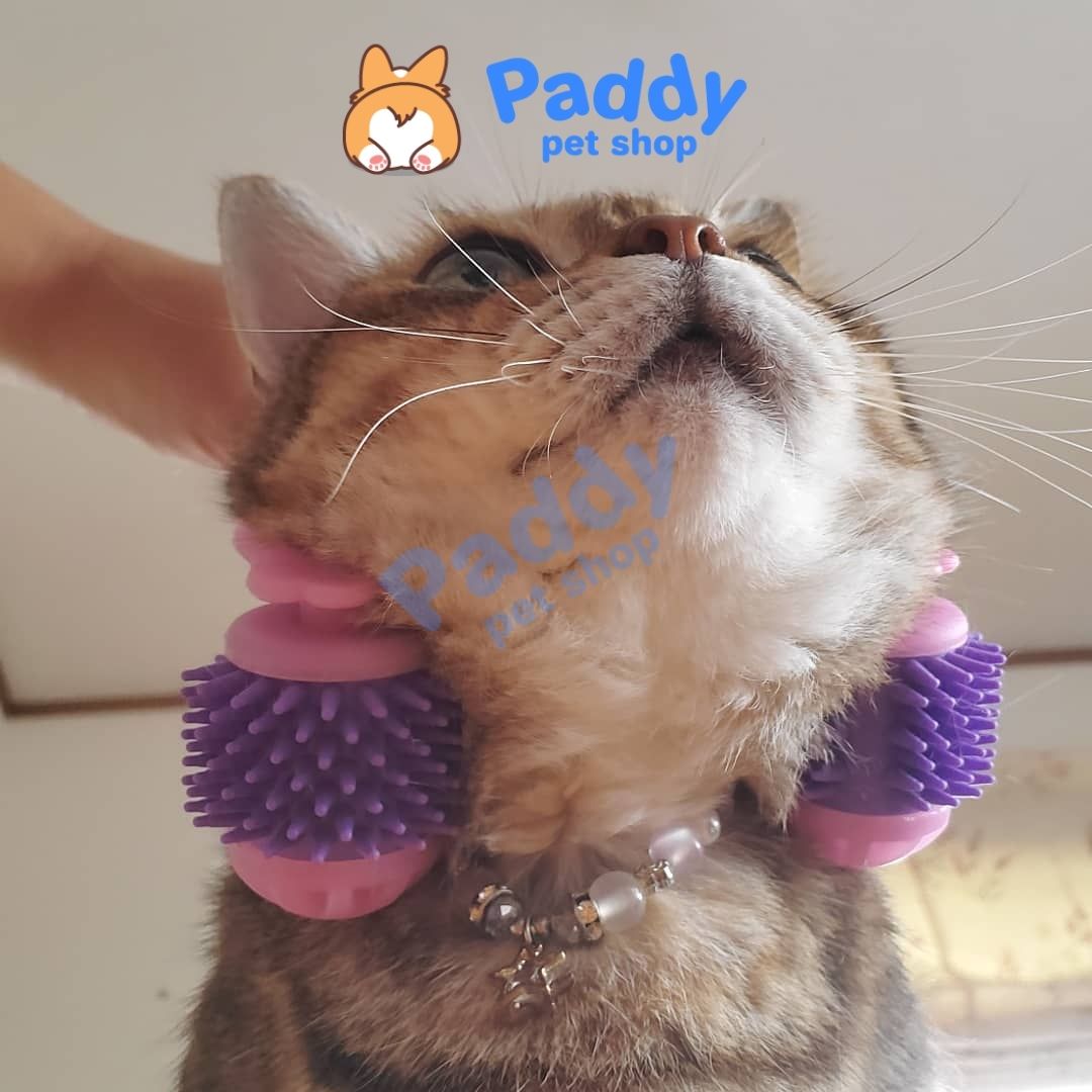 Đồ Chơi Cho Mèo Cây Lăn Mát Xa Thư Giãn CattyMan