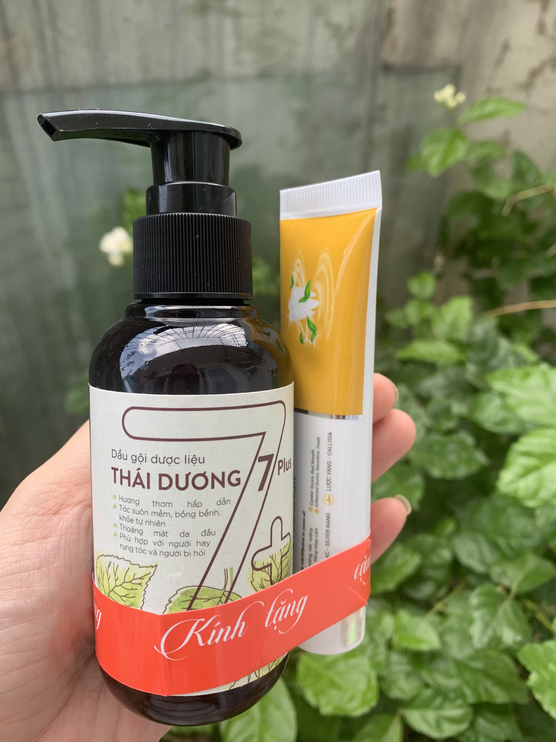 Dầu gội dược liệu Thái Dương 7plus